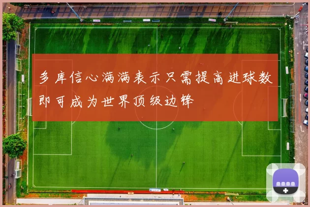 多库信心满满表示只需提高进球数即可成为世界顶级边锋