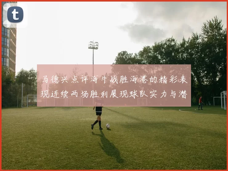 马德兴点评海牛战胜海港的精彩表现连续两场胜利展现球队实力与潜力