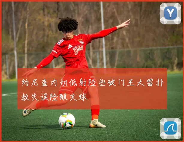 约尼查内切低射险些破门王大雷扑救失误险酿失球